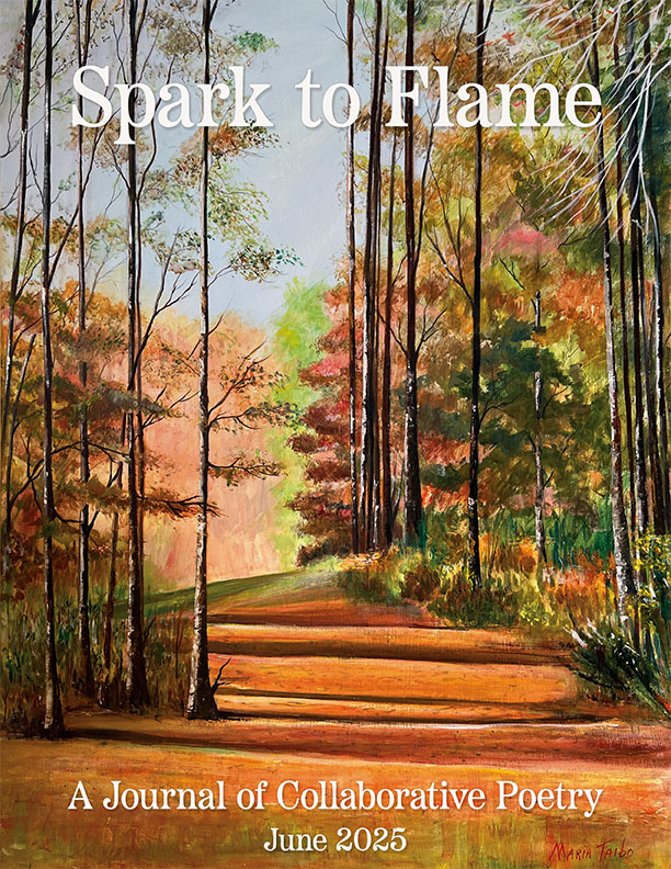 Issue Five Cover Art